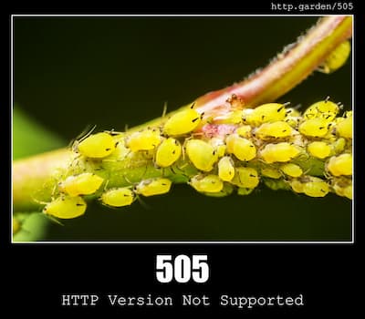 505 HTTP Version Not Supported & Gardening