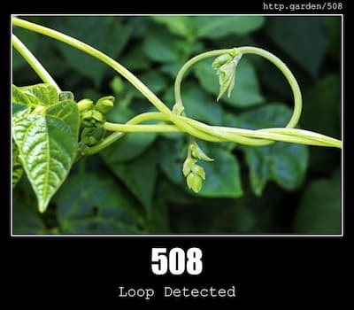 508 Loop Detected & Gardening