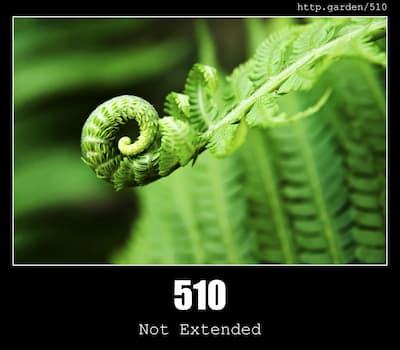 510 Not Extended & Gardening