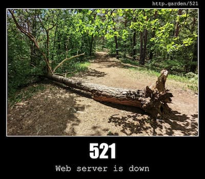521 Web server is down & Gardening