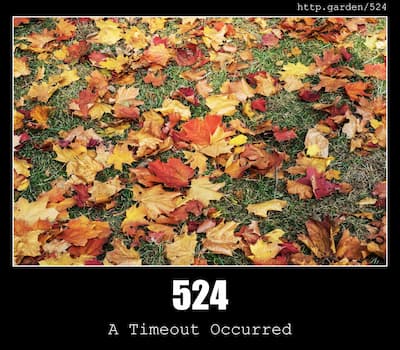 524 A Timeout Occurred