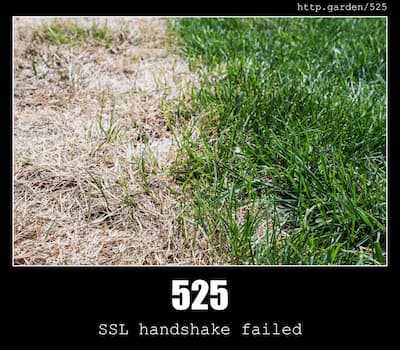 525 SSL handshake failed & Gardening