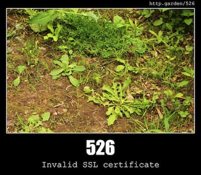 526 Invalid SSL certificate & Gardening