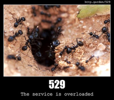 529 The service is overloaded & Gardening