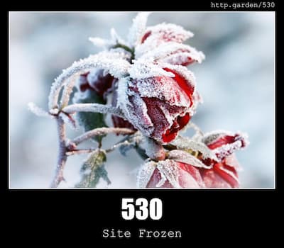 530 Site Frozen